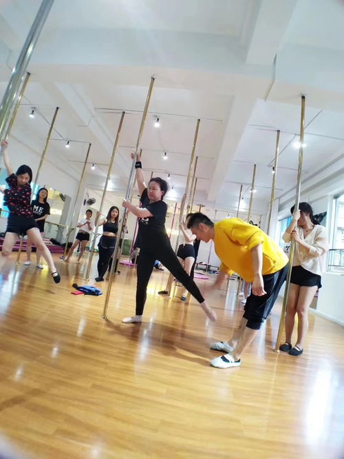 图 成都舞蹈培训 专业钢管舞爵士舞培训 优惠活动火热报名中 成都文体培训
