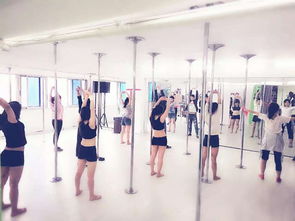 图 钢管舞爵士舞计教练培训班 成都聚星舞蹈职业培训机构 成都文体培训