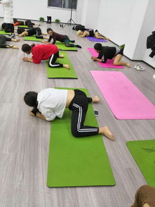 图 华翎钢管舞歌手国际连锁学校 北京文体培训