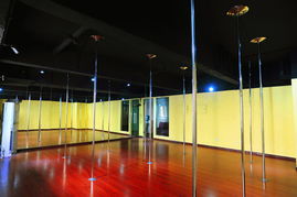 成都钢管舞 专业钢管舞培训