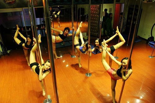 管道会议邀美女跳钢管舞没错 允许钢管舞存在,就该允许公开表演