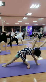 紫罗兰钢管瑜伽舞蹈工作室