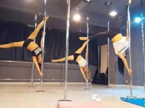 图 成都星秀钢管舞 爵士舞 四川专业钢管舞培训机构 成都文体培训