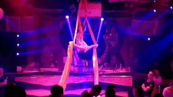 双流专业舞蹈培训学校 钢管舞、爵士舞与吊环舞蹈全方位指导