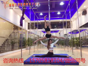 杭州戴斯尔舞蹈培训 文体交融的钢管舞艺术之旅